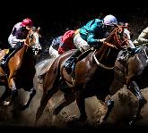 Training Session: Behind the Scenes